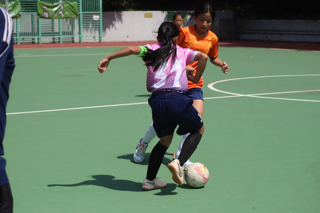 全港女子足球賽